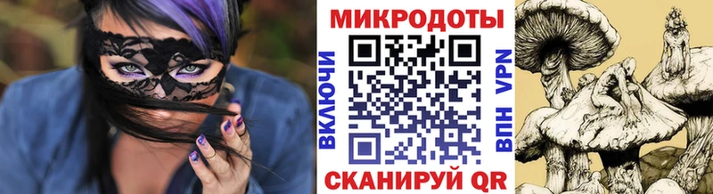 omg ONION  Ковылкино  Псилоцибиновые грибы Magic Shrooms 